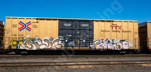 TBOX663559