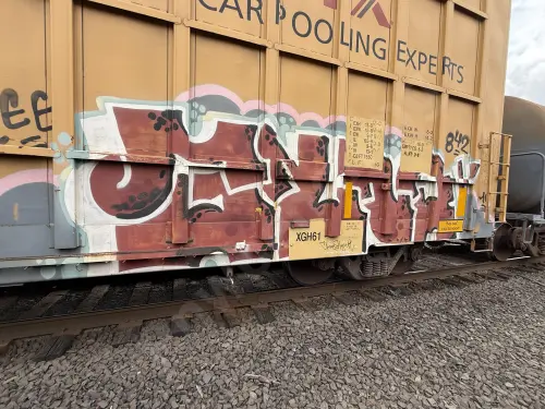 TBOX663833