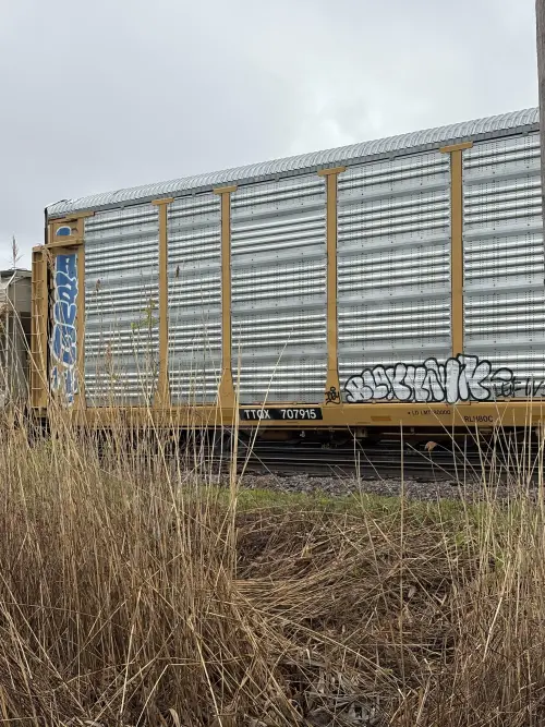 Train photo