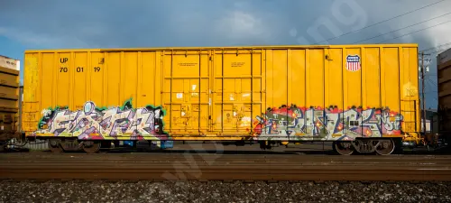 UP700119