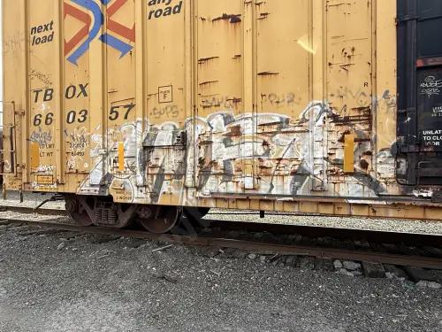 TBOX660357