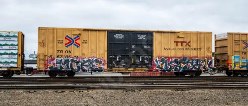 TBOX667059