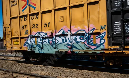 TBOX673251