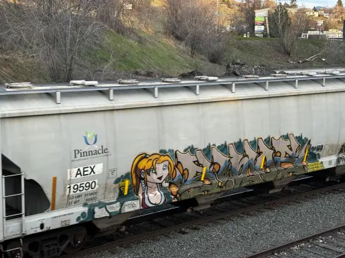 AEX19590
