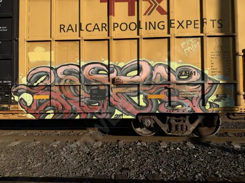 TBOX675143