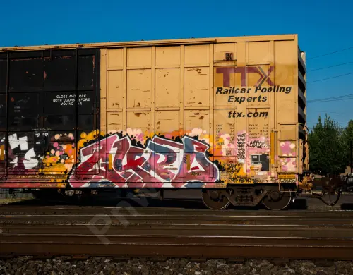 FBOX505102