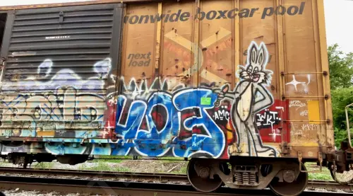 RBOX39301