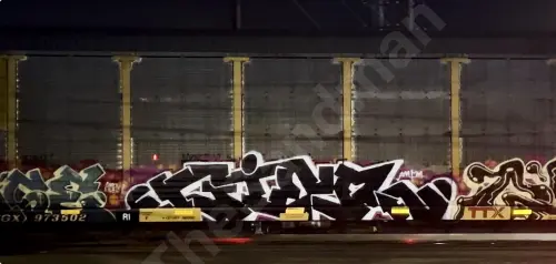 TTGX973502
