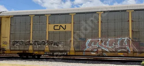 ETTX853024