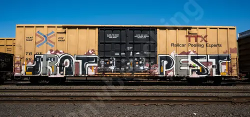 TBOX662126