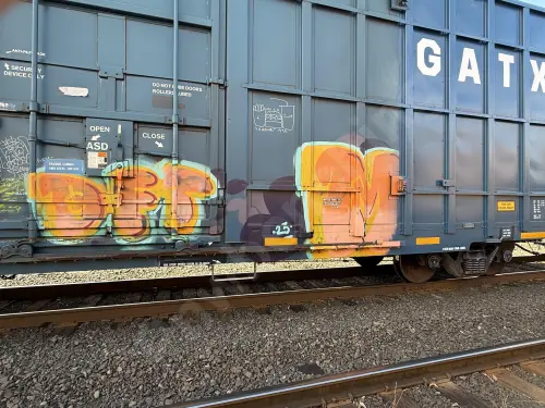 LRS137336