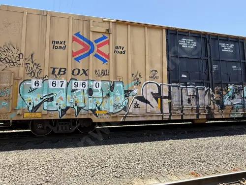 TBOX667960