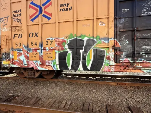 FBOX505437