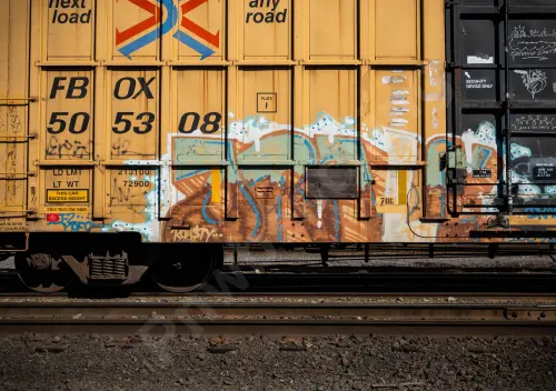 FBOX505308