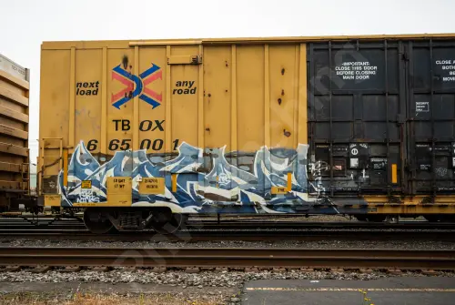 TBOX665001