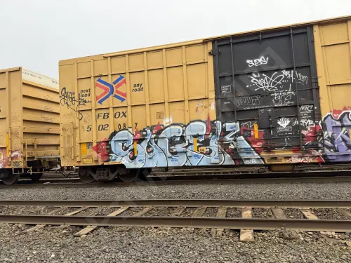 FBOX502087
