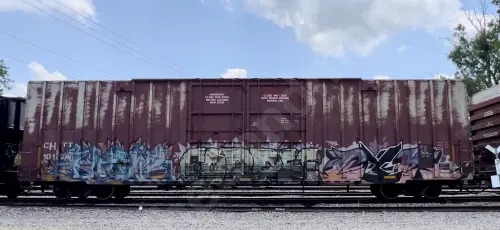 CHTT101246