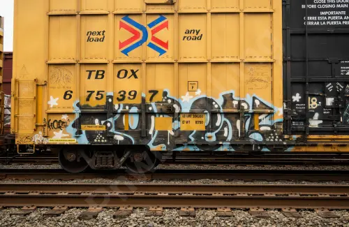 TBOX675397