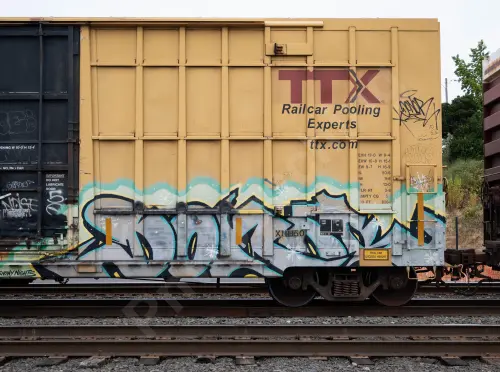 FBOX502029