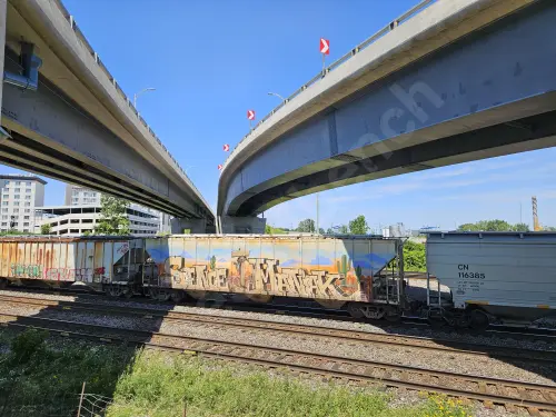 AEX25436