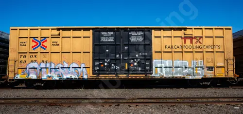 TBOX639794