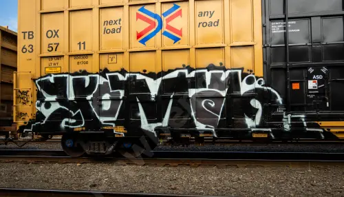 TBOX635711