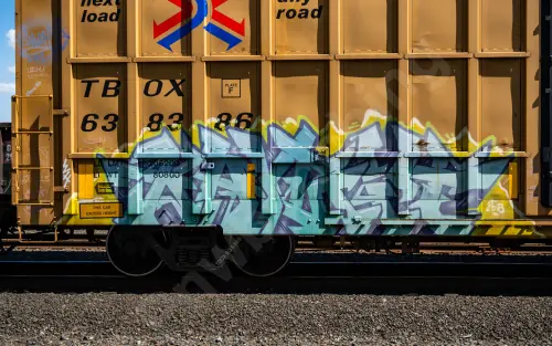 TBOX638386