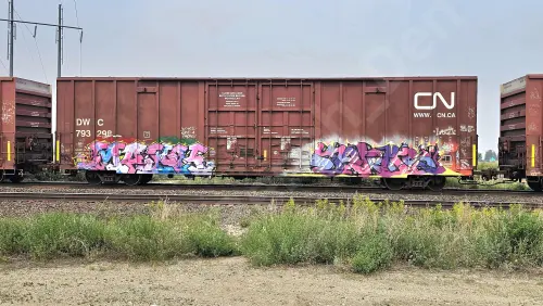 Train photo