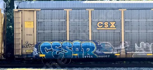 TTGX988067