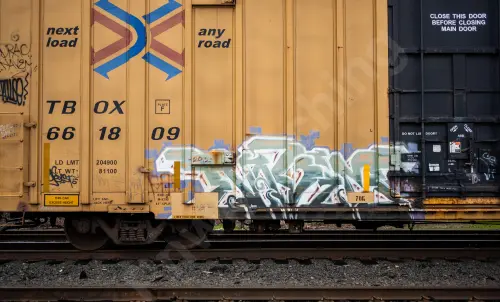 TBOX661809