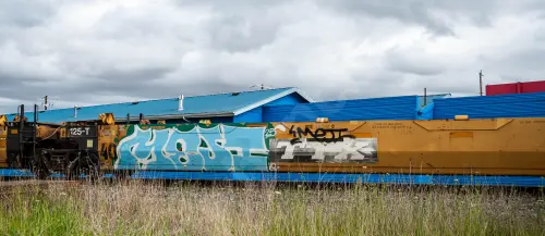 DTTX743542