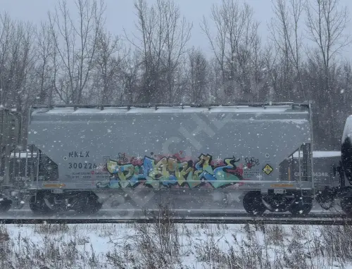 NKLX300226