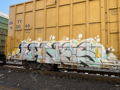 BKTY160066