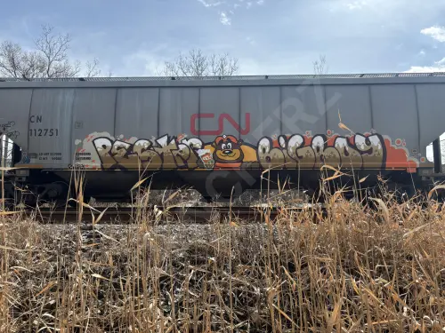 CN112751