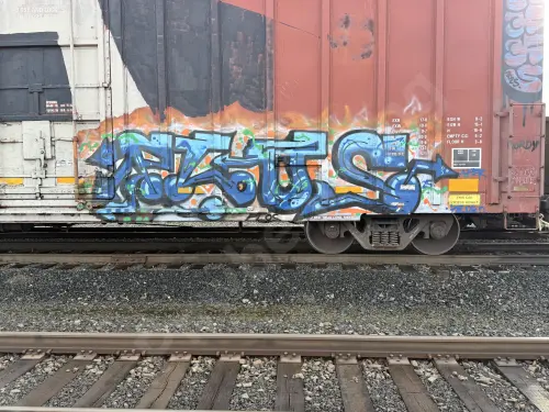 TBOX889506