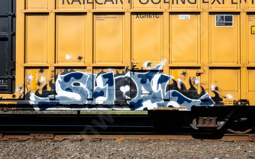 TBOX632831
