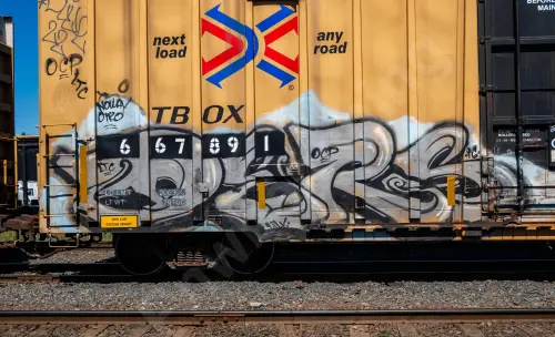 TBOX667891