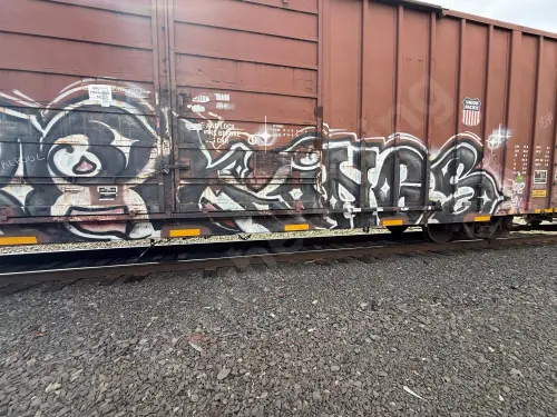 UP369107