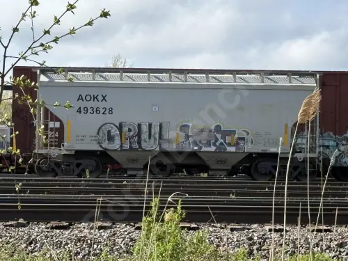 AOKX493628