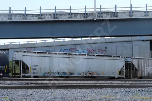 CGOX5976