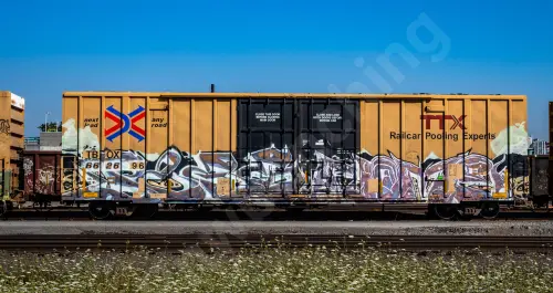 TBOX662696