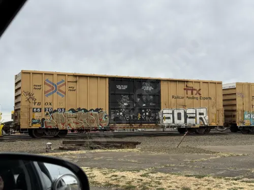 TBOX662005