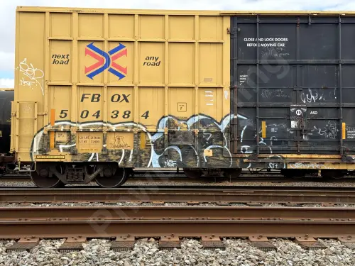 FBOX504384