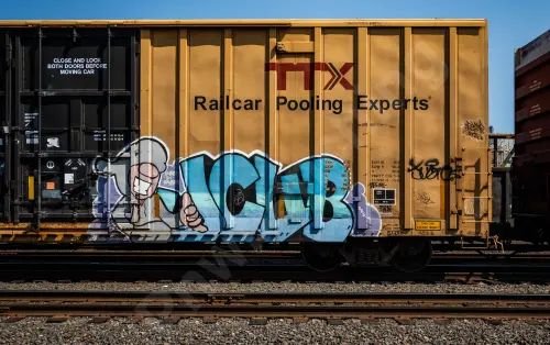 TBOX663803