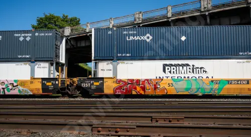 DTTX795406
