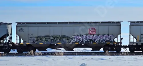 Train photo