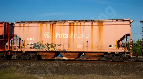 Train photo