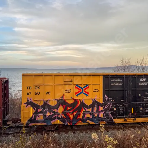 TBOX676098