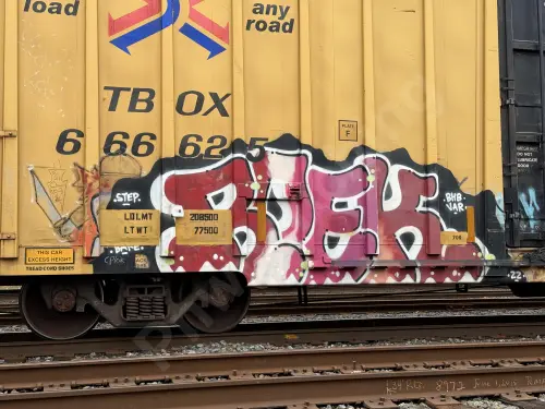 TBOX666625