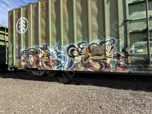 IBT21123